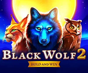 Black Wolf 2